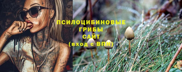 герыч Абаза
