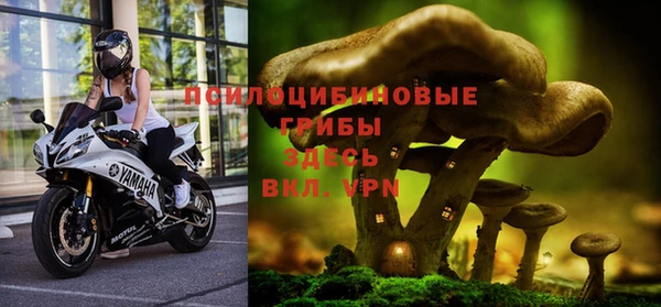 герыч Абаза