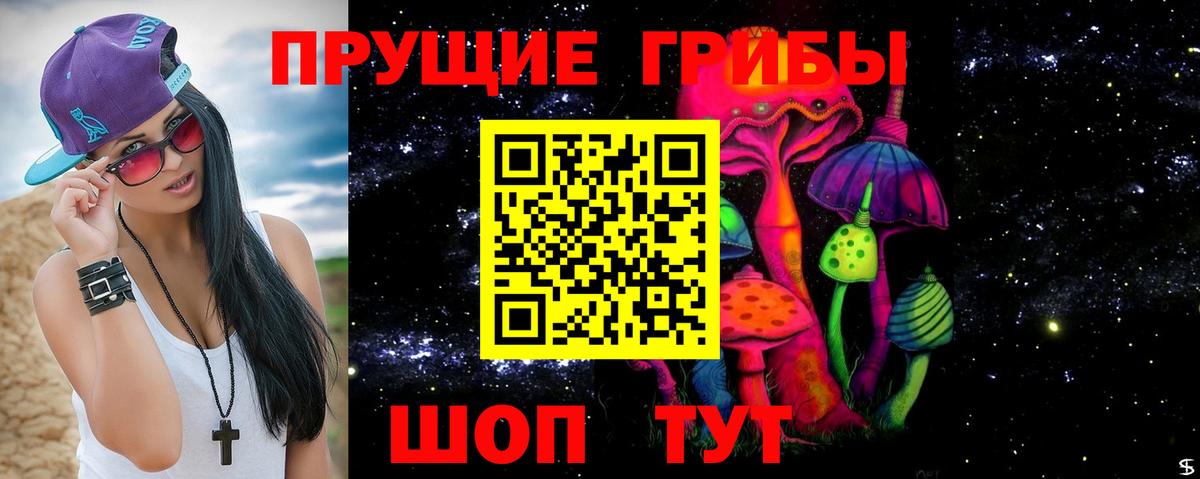 Псилоцибиновые грибы Cubensis  Вход с VPN  Отрадный 