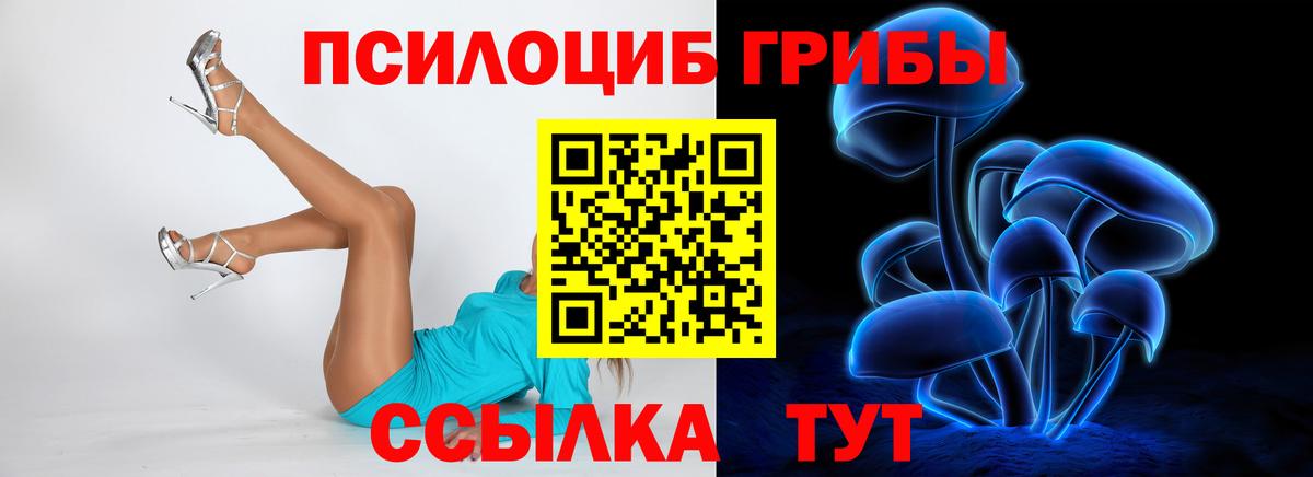 Галлюциногенные грибы мицелий Отрадный